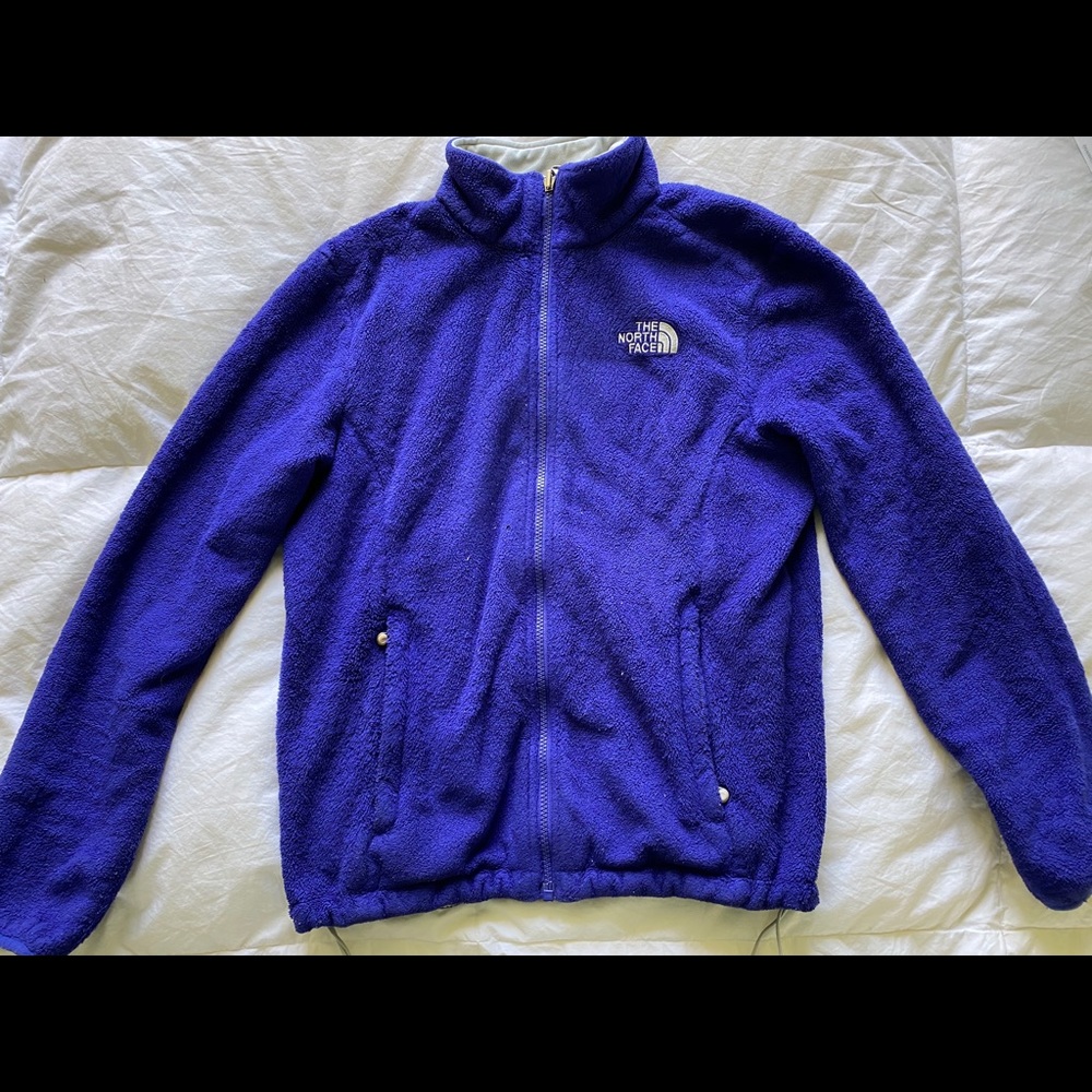 Purple/blue North face jacket